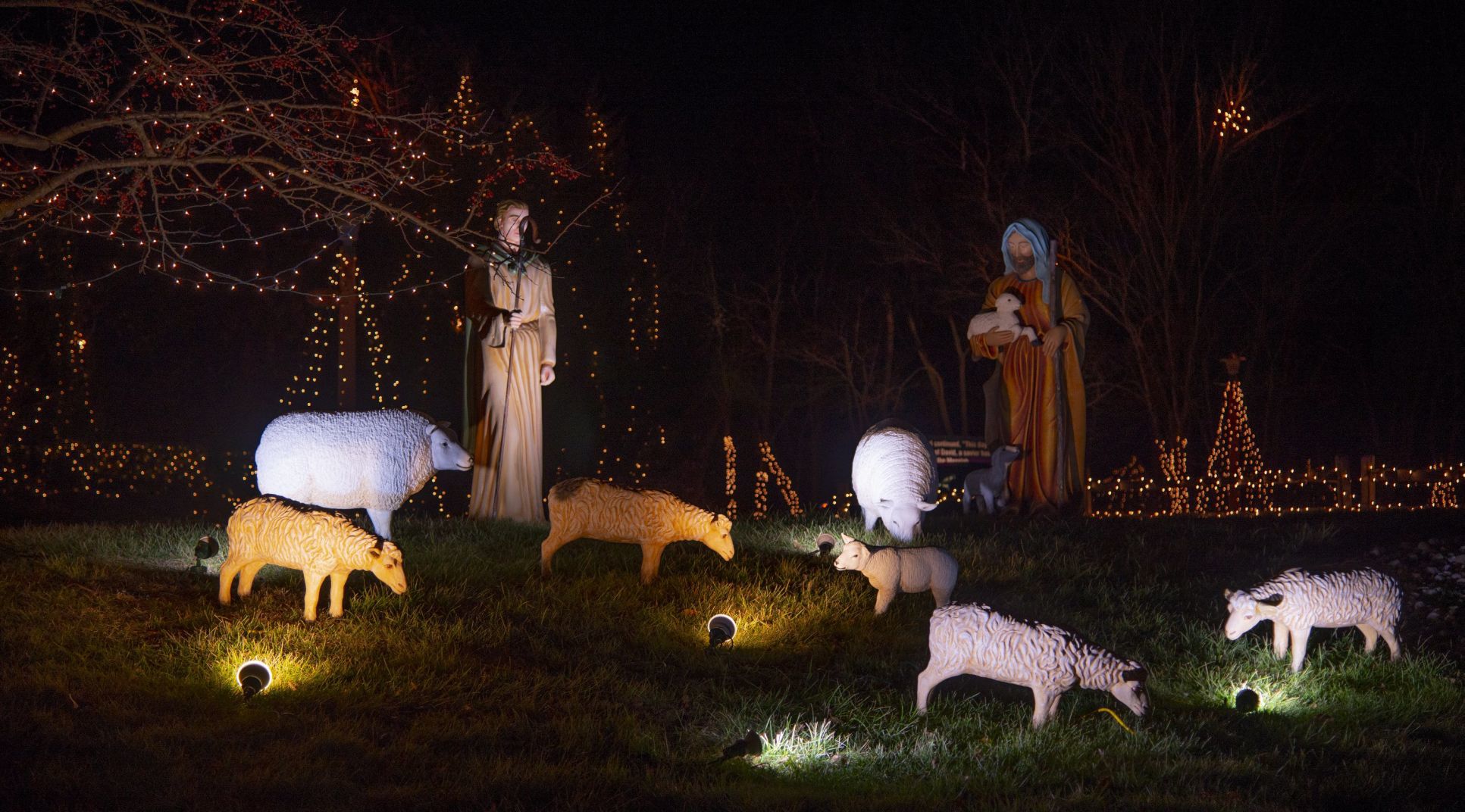 Way of Lights holiday light display at the National Shrine of Our Lady of the Snows
